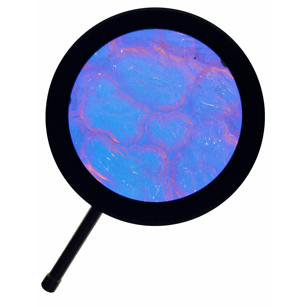 Hintergrund-Effekt-Glas DFXT11 Cells Full Blue Größe "M" INCL. DFXH Effektglashalter und Tasche DPACP Kopie